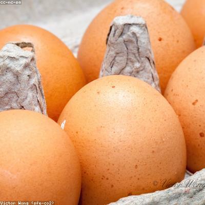 Куриная грудка филе