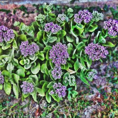 Название новости в 2 строчки