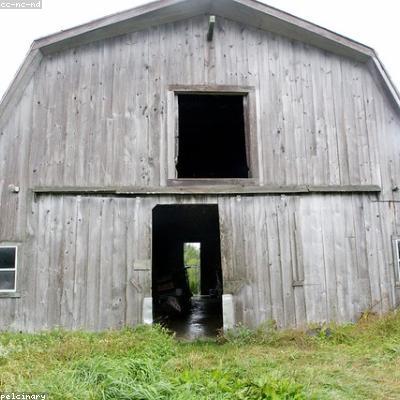 Яйца куриные C0