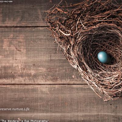 Яйца куриные C0