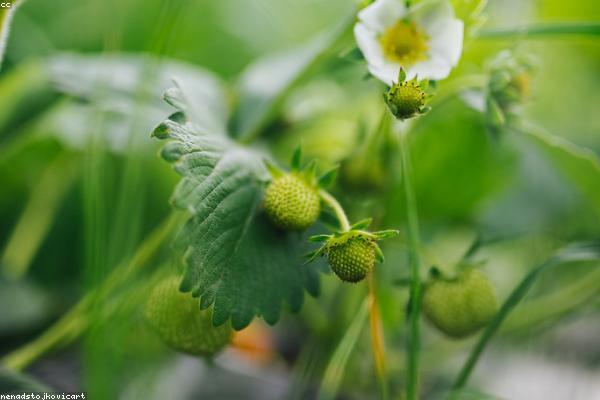 Мы получили международную премию и хотим Вас порадовать. Распродажа скоро уже. Только 5 дней!